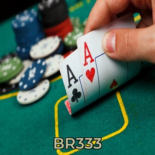 BR333-App
